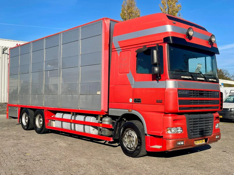 DAF XF 95.430 BERDEX 3 decks. Water, fans, Scales! Excellent condition. - Camión transporte de ganado: foto 5 DAF XF 95.430 BERDEX 3 decks. Water, fans, Scales! Excellent condition. - Camión transporte de ganado: foto 5