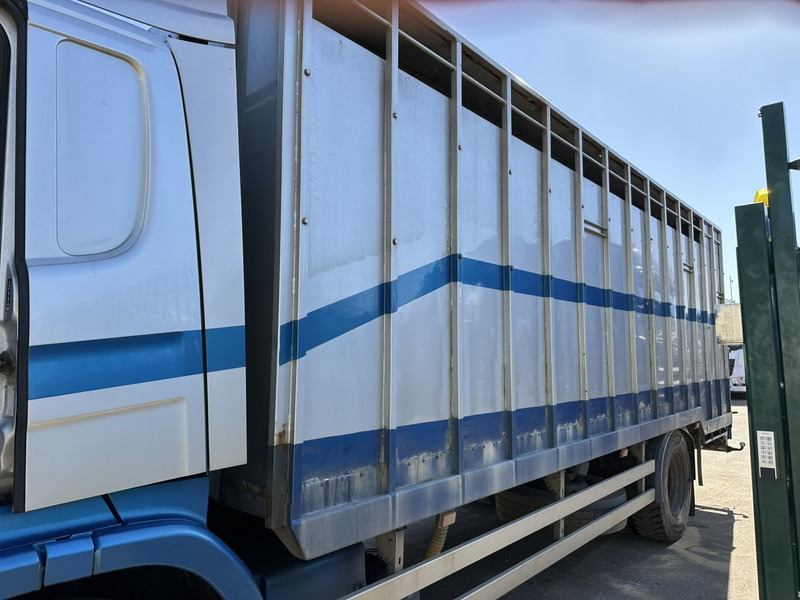 Scania P310 4x2 ANIMAL TRANSPORT - ALU BOX 7m - MANUAL - AIR SUSPENSION - A/C - BELGIAN TRUCK - Camión transporte de ganado: foto 5 Scania P310 4x2 ANIMAL TRANSPORT - ALU BOX 7m - MANUAL - AIR SUSPENSION - A/C - BELGIAN TRUCK - Camión transporte de ganado: foto 5