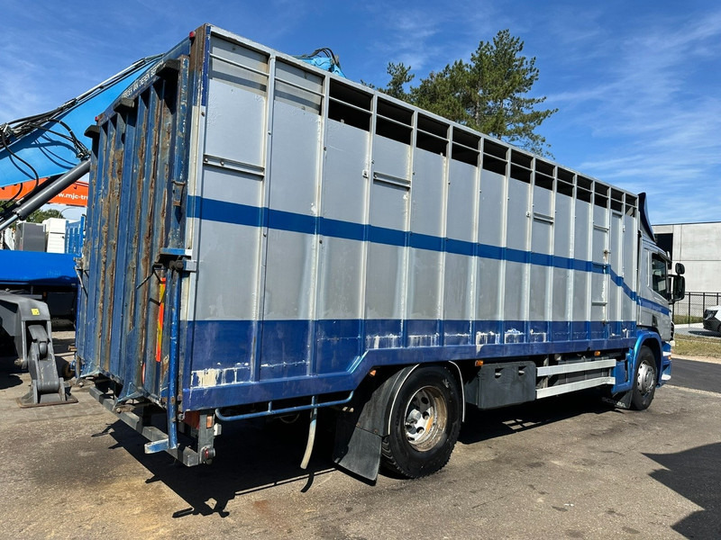 Scania P310 4x2 LIVESTOCK / VEEWAGEN / TIERTRANSPORT / BETAILLERE - ALU BOX 7m - MANUAL - A/C - BELGIAN TRUCK - Camión transporte de ganado: foto 5 Scania P310 4x2 LIVESTOCK / VEEWAGEN / TIERTRANSPORT / BETAILLERE - ALU BOX 7m - MANUAL - A/C - BELGIAN TRUCK - Camión transporte de ganado: foto 5