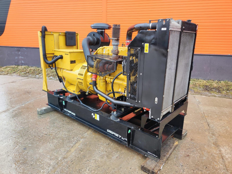 Olympian GEH275-4 / Caterpillar / ISO 8528 SET - Generador industriale: foto 3 Olympian GEH275-4 / Caterpillar / ISO 8528 SET - Generador industriale: foto 3