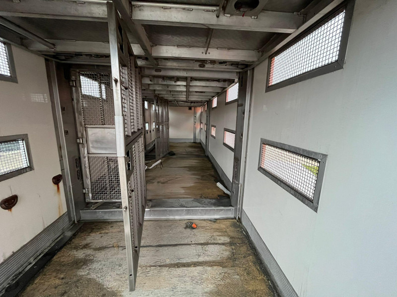 Camión transporte de ganado Scania G 480 6x2*4 BOX L=9212 mm / COOLANT LEAKAGE ON 3 RD CYLINDER: foto 12 Camión transporte de ganado Scania G 480 6x2*4 BOX L=9212 mm / COOLANT LEAKAGE ON 3 RD CYLINDER: foto 12