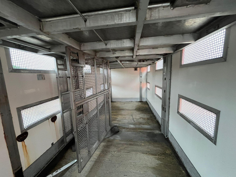 Camión transporte de ganado Scania G 480 6x2*4 BOX L=9212 mm / COOLANT LEAKAGE ON 3 RD CYLINDER: foto 13 Camión transporte de ganado Scania G 480 6x2*4 BOX L=9212 mm / COOLANT LEAKAGE ON 3 RD CYLINDER: foto 13