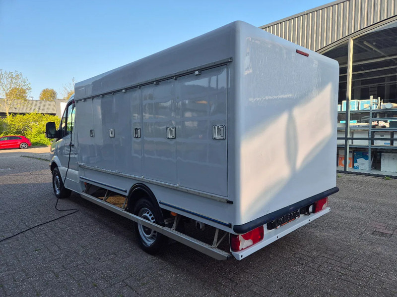 Mercedes-Benz Sprinter 313 CDI 5+5 Turen TIEFFROST -40C Carlsen Baltic E5 - Furgoneta frigorifica: foto 5 Mercedes-Benz Sprinter 313 CDI 5+5 Turen TIEFFROST -40C Carlsen Baltic E5 - Furgoneta frigorifica: foto 5