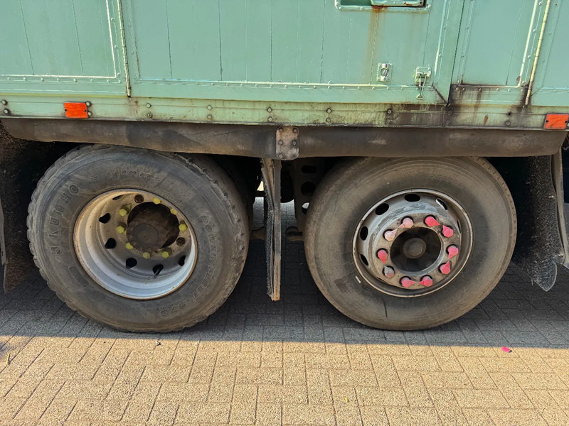 Camión caja cerrada MAN 25.322 **BELGIAN TRUCK-: foto 12