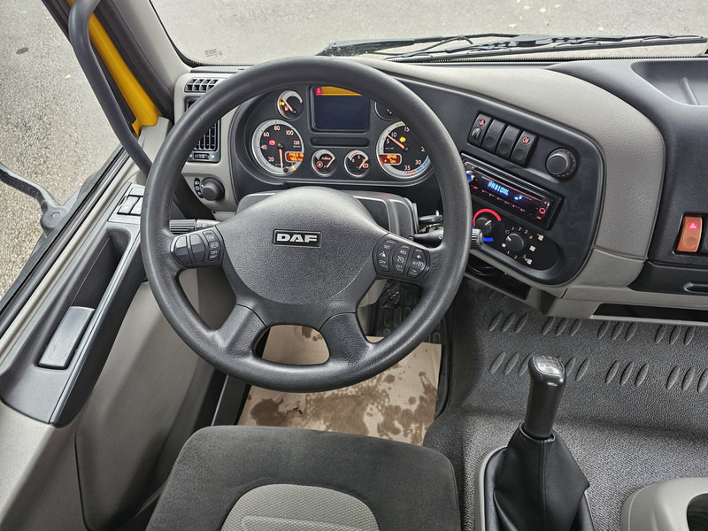 Grua de remolque autos DAF LF 45.220 / MACHINE TRANSPORT / OPRIJ WAGEN: foto 16