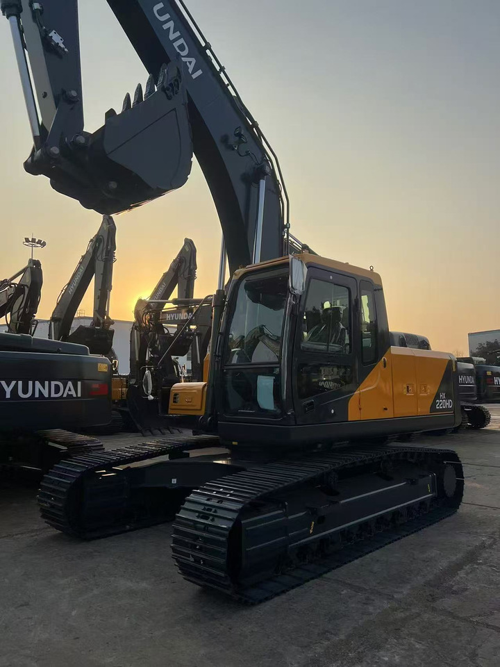Excavadora de cadenas nuevo Hyundai 220HD: foto 6