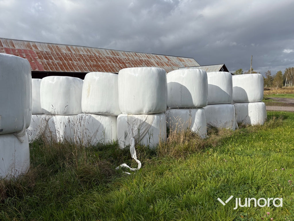 Höensilage 2024 - Maquinaria ganadera: foto 3 Höensilage 2024 - Maquinaria ganadera: foto 3