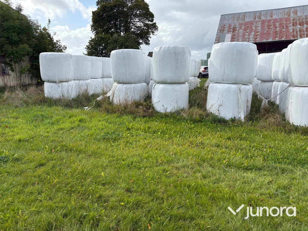 Höensilage 2024 - Maquinaria ganadera: foto 4 Höensilage 2024 - Maquinaria ganadera: foto 4