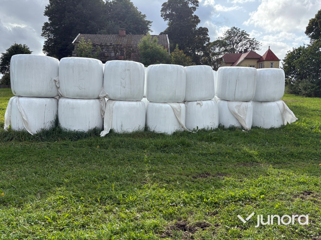 Höensilage 2024 - Maquinaria ganadera: foto 1 Höensilage 2024 - Maquinaria ganadera: foto 1