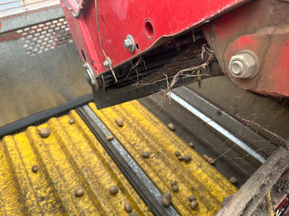 Cosechadora Grimme SE-150-60-NB: foto 6