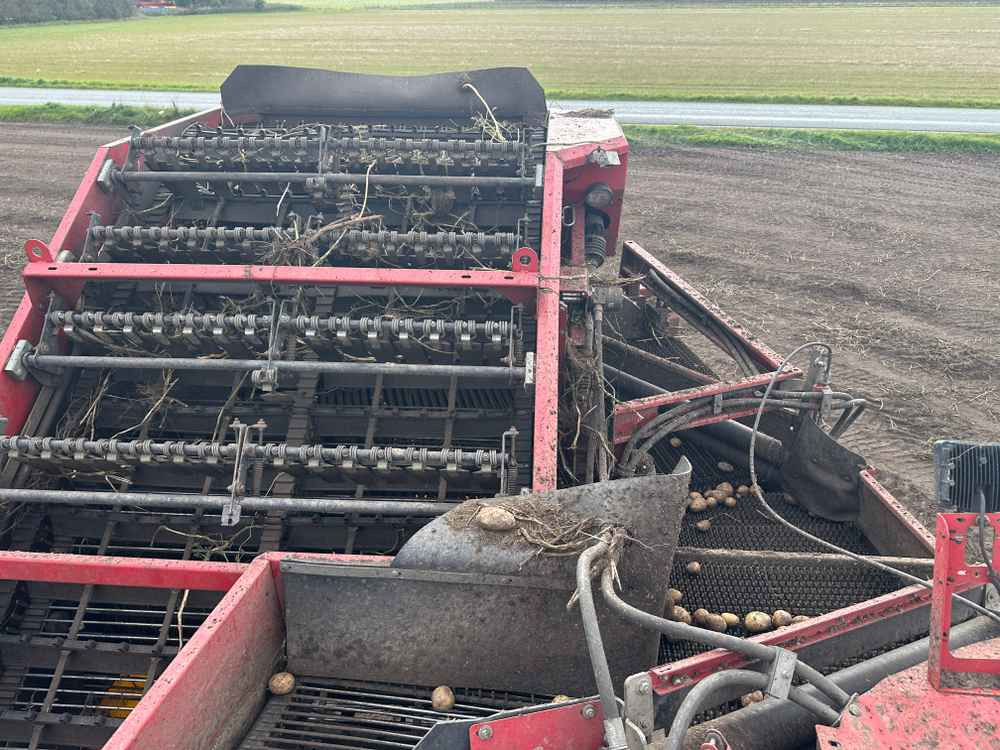 Cosechadora Grimme SE-150-60-NB: foto 8