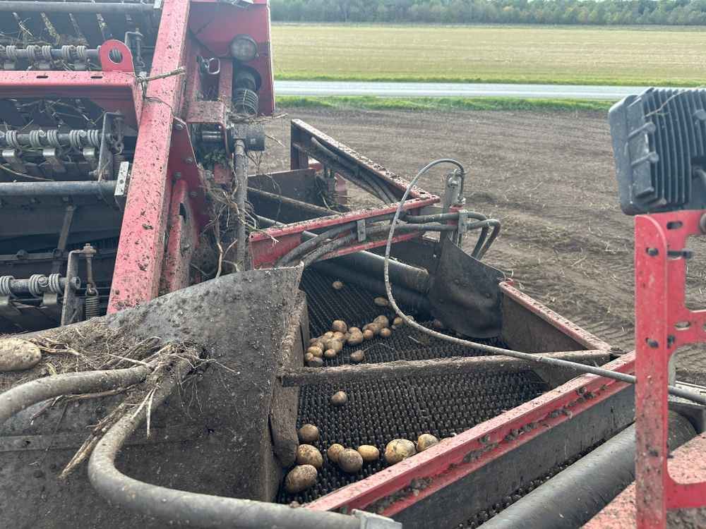 Cosechadora Grimme SE-150-60-NB: foto 7