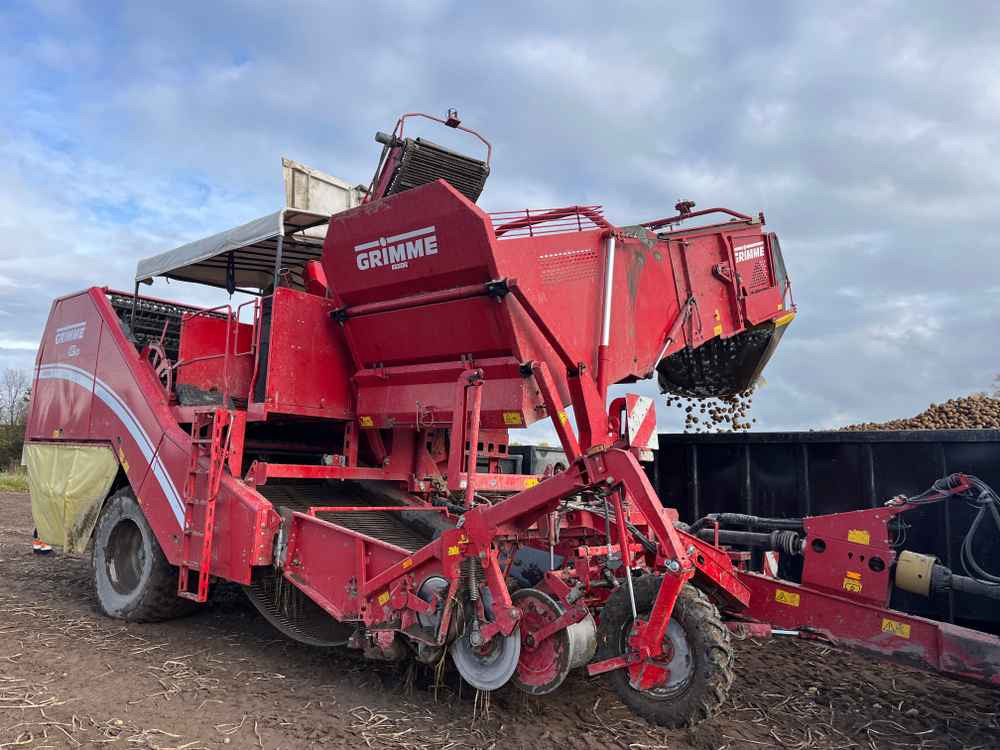 Grimme SE-260-UB - Cosechadora: foto 1 Grimme SE-260-UB - Cosechadora: foto 1