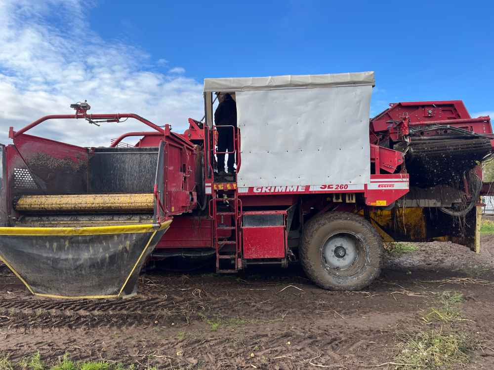 Grimme SE-260-UB - Cosechadora: foto 5 Grimme SE-260-UB - Cosechadora: foto 5