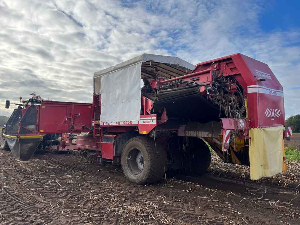 Grimme SE-260-UB - Cosechadora: foto 4 Grimme SE-260-UB - Cosechadora: foto 4