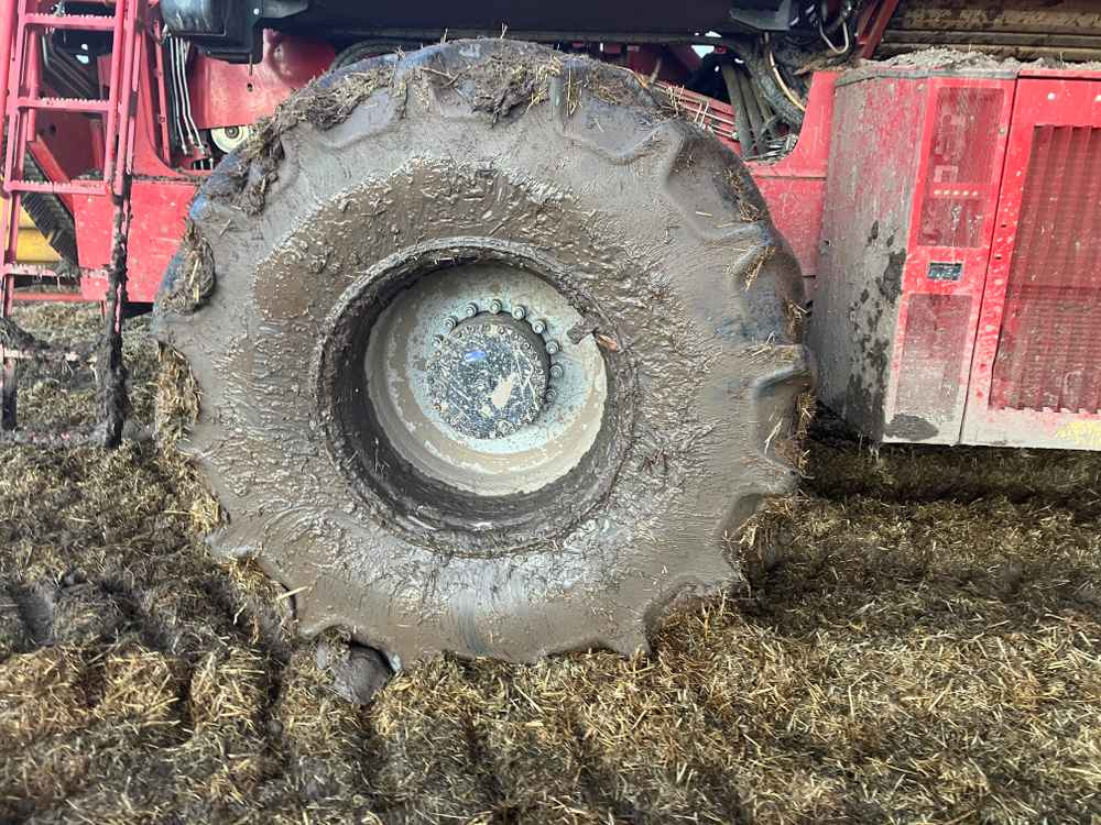 Grimme VARITRON 270 PLATINUM TT - Cosechadora: foto 5 Grimme VARITRON 270 PLATINUM TT - Cosechadora: foto 5