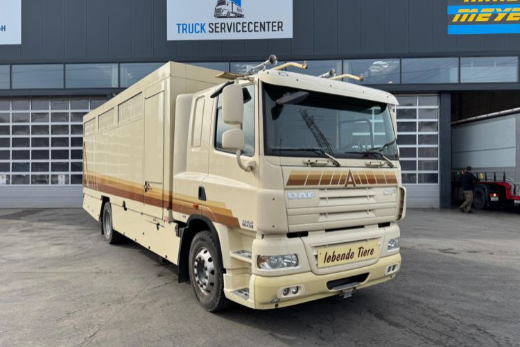 DAF CF410 4x2 - Camión para caballos: foto 3 DAF CF410 4x2 - Camión para caballos: foto 3