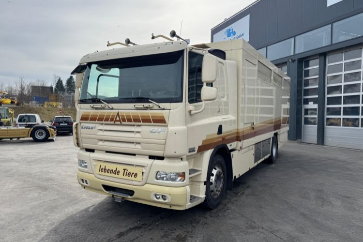 DAF CF410 4x2 - Camión para caballos: foto 1 DAF CF410 4x2 - Camión para caballos: foto 1