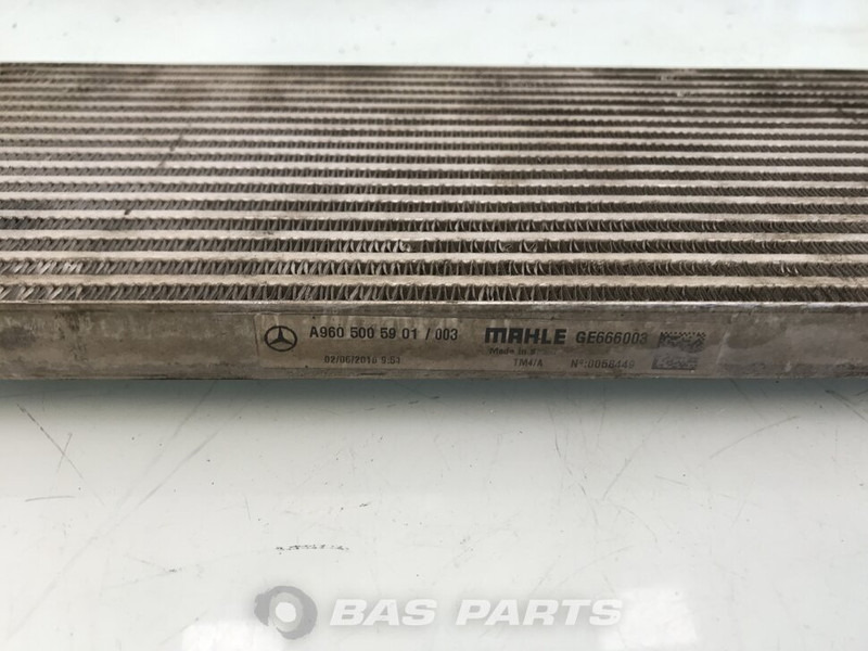 Mercedes-Benz Oliekoeler V-Bak Mercedes A 960 500 59 01 - Enfriador de aceite para Camión: foto 3 Mercedes-Benz Oliekoeler V-Bak Mercedes A 960 500 59 01 - Enfriador de aceite para Camión: foto 3