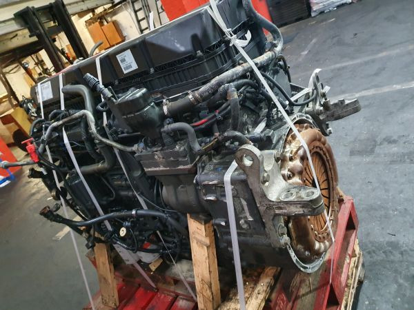 Motor para Camión Renault DTI 11: foto 13 Motor para Camión Renault DTI 11: foto 13