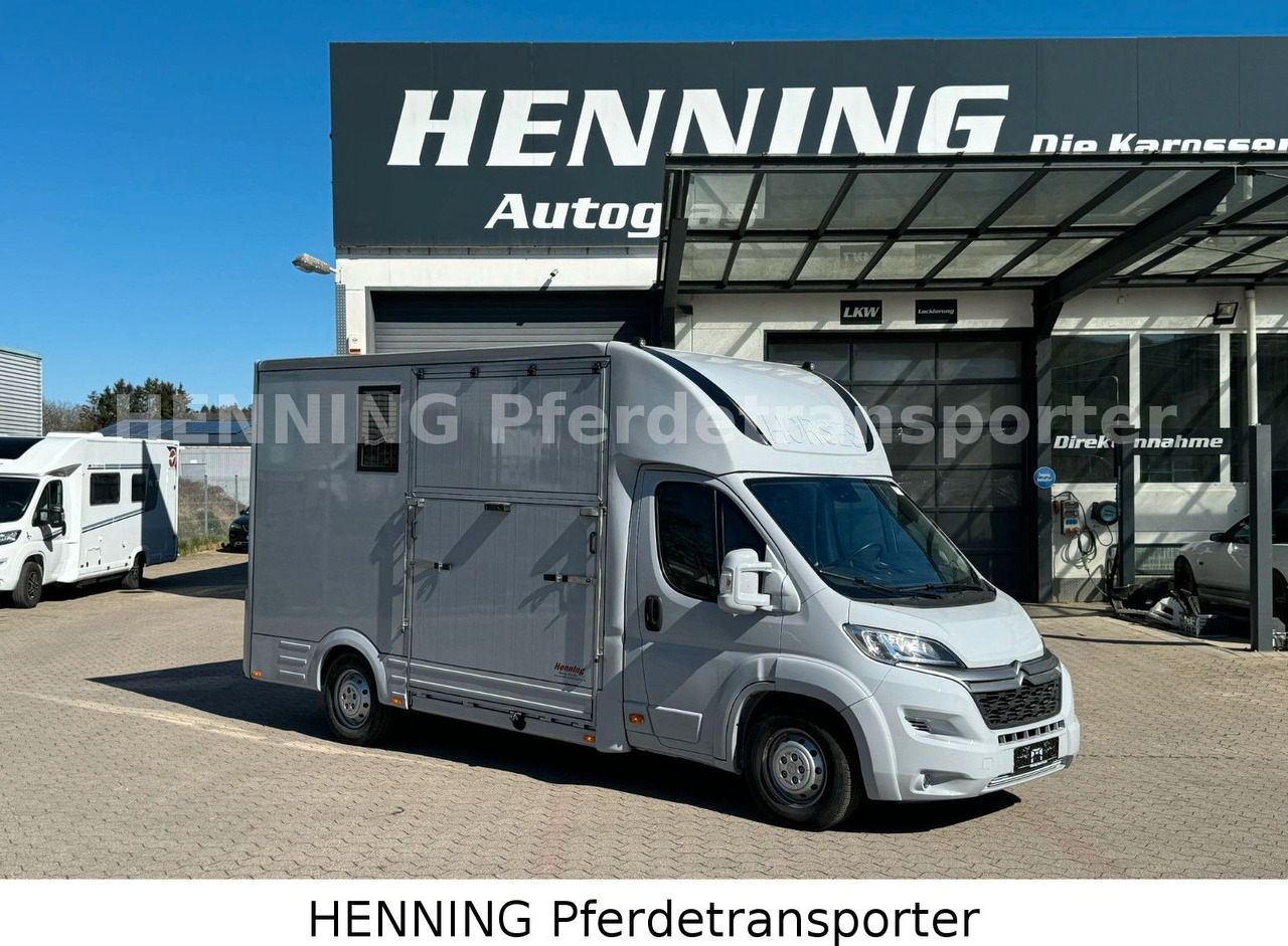 Citroën Jumper 3 - Sitzer *AUFBAU NEU* - Camión para caballos: foto 1 Citroën Jumper 3 - Sitzer *AUFBAU NEU* - Camión para caballos: foto 1