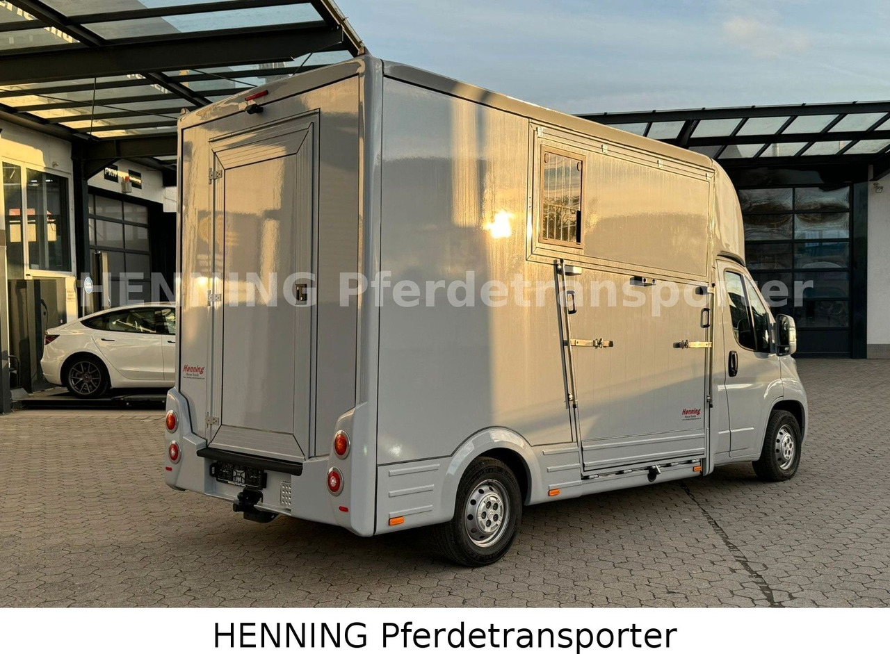 Citroën Jumper 3 - Sitzer - Camión transporte de ganado: foto 3 Citroën Jumper 3 - Sitzer - Camión transporte de ganado: foto 3