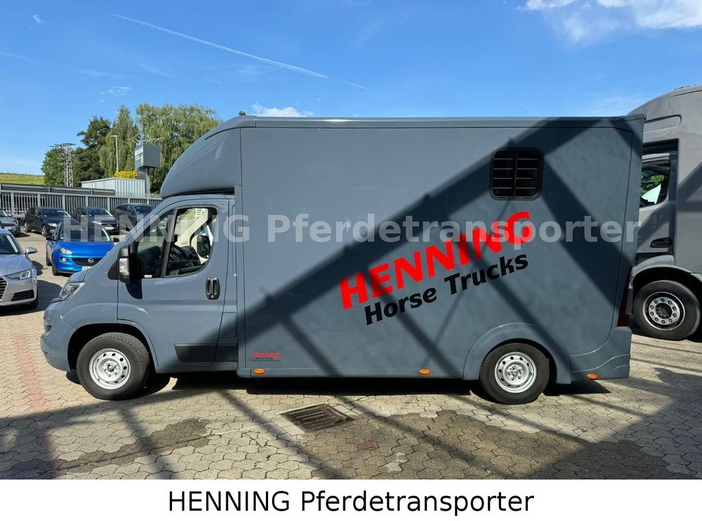 Camión para caballos Opel Movano 3 - Sitzer *AUFBAU NEU*: foto 10