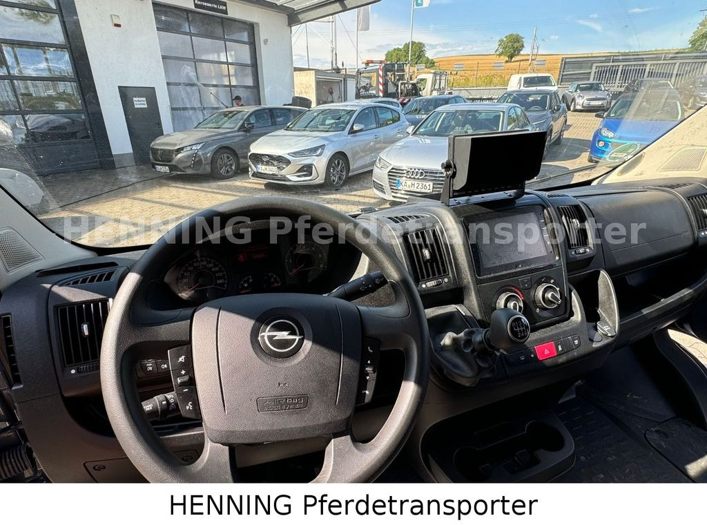 Camión para caballos Opel Movano 3 - Sitzer *AUFBAU NEU*: foto 12