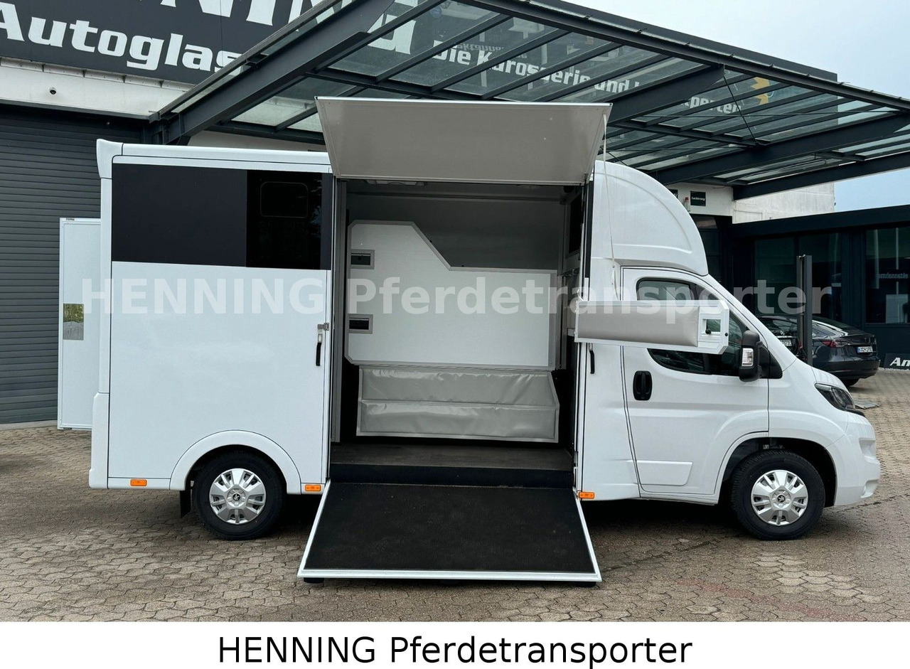 Peugeot Boxer *NEUWAGEN* ca. 1.200kg Nutzlast - Camión transporte de ganado: foto 5 Peugeot Boxer *NEUWAGEN* ca. 1.200kg Nutzlast - Camión transporte de ganado: foto 5