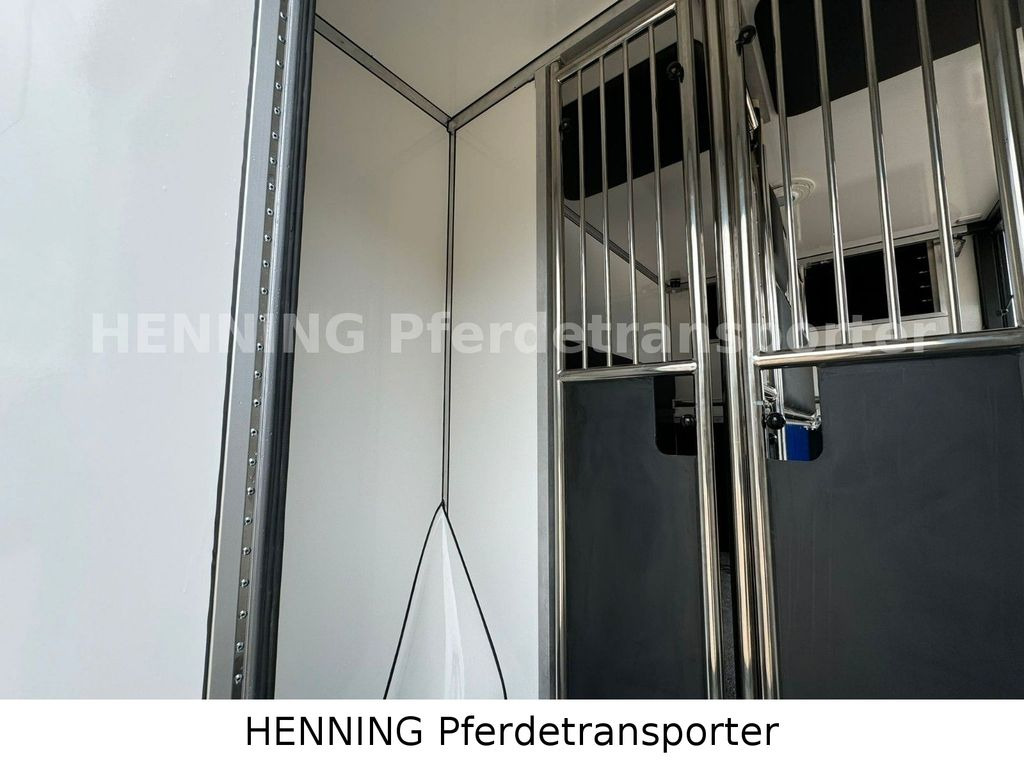 Camión para caballos Renault Master 3 - Sitzer: foto 10 Camión para caballos Renault Master 3 - Sitzer: foto 10