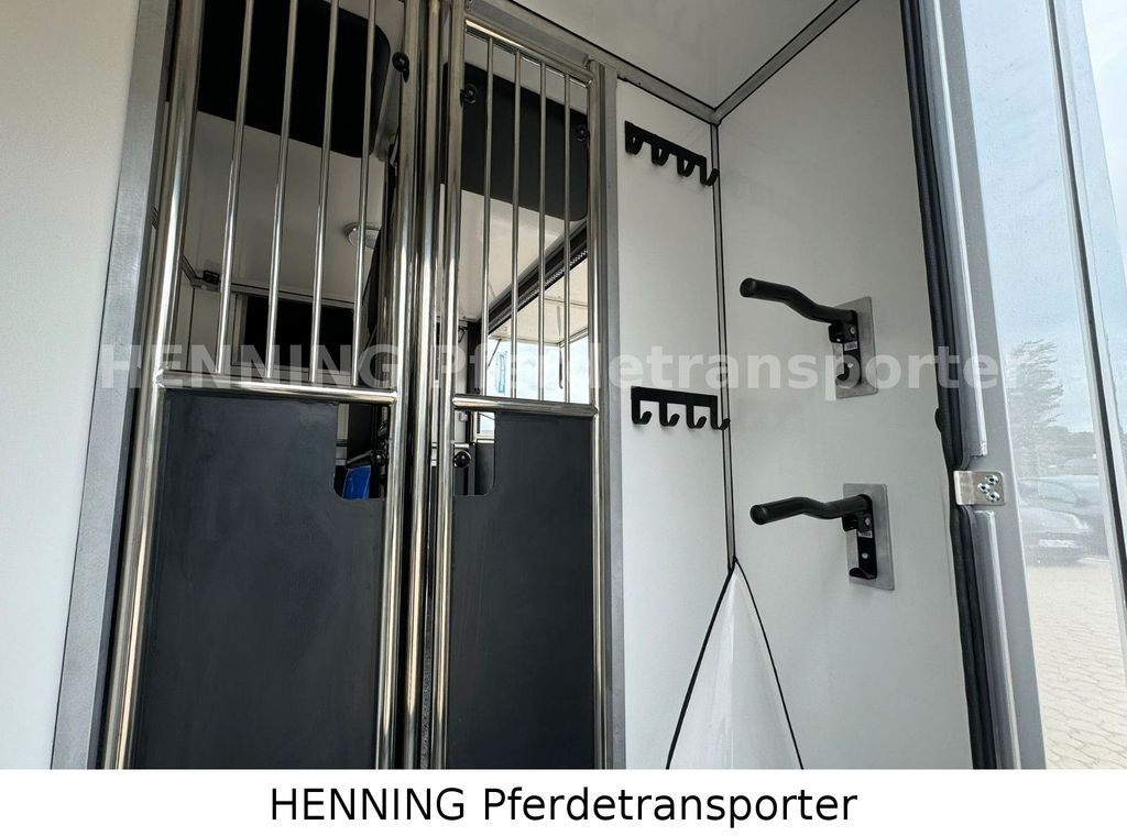 Camión para caballos Renault Master 3 - Sitzer: foto 11 Camión para caballos Renault Master 3 - Sitzer: foto 11