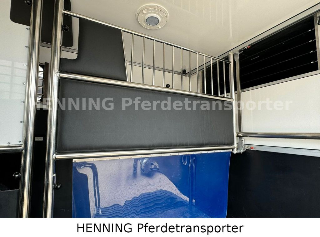 Camión para caballos Renault Master 3 - Sitzer: foto 6 Camión para caballos Renault Master 3 - Sitzer: foto 6