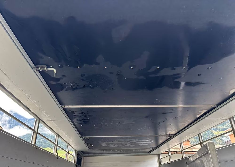 Camión transporte de ganado Scania P280 4x2 – Pojazd do przewozu zwierząt VIEHFAHRZEUG / jednopoziomowy – 171.000 km!! – Euro 5: foto 11 Camión transporte de ganado Scania P280 4x2 – Pojazd do przewozu zwierząt VIEHFAHRZEUG / jednopoziomowy – 171.000 km!! – Euro 5: foto 11