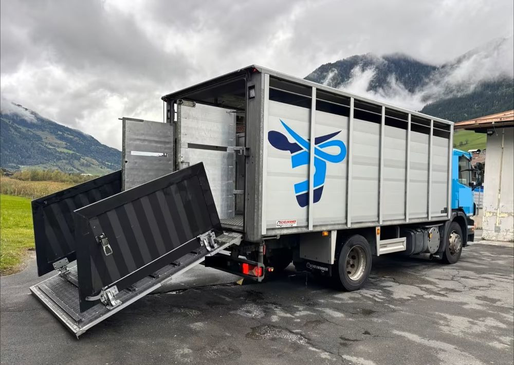 Camión transporte de ganado Scania P280 4x2 – Pojazd do przewozu zwierząt VIEHFAHRZEUG / jednopoziomowy – 171.000 km!! – Euro 5: foto 6 Camión transporte de ganado Scania P280 4x2 – Pojazd do przewozu zwierząt VIEHFAHRZEUG / jednopoziomowy – 171.000 km!! – Euro 5: foto 6