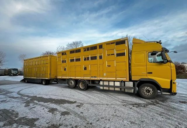 Volvo FH 420 • KABA • Transport Zwierząt 3xŚwinie/ 2xBydło 3-piętrowy • Euro 5 • Retarder • Oś podnoszona i skrętna - Camión transporte de ganado: foto 3 Volvo FH 420 • KABA • Transport Zwierząt 3xŚwinie/ 2xBydło 3-piętrowy • Euro 5 • Retarder • Oś podnoszona i skrętna - Camión transporte de ganado: foto 3