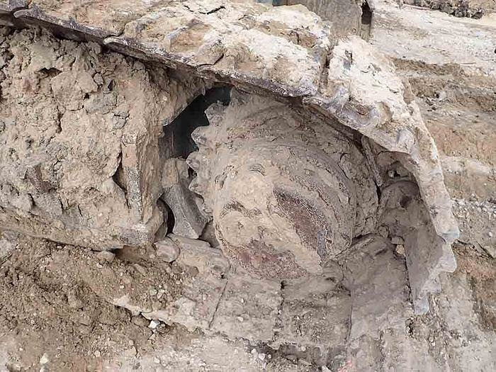 Perforadora Casagrande B175XP: foto 23 Perforadora Casagrande B175XP: foto 23