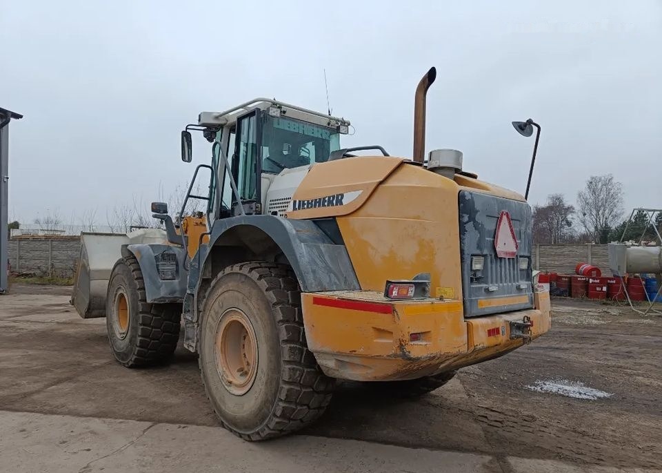 Liebherr L544 2 plus 2 - Cargadora de ruedas: foto 1 Liebherr L544 2 plus 2 - Cargadora de ruedas: foto 1