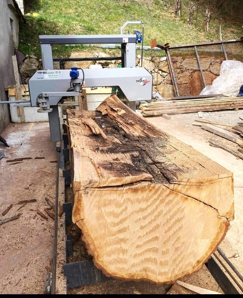 Trak-Met Trak taśmowy Big 160 cm TTP-600/1500 - Maquinaria forestal: foto 5 Trak-Met Trak taśmowy Big 160 cm TTP-600/1500 - Maquinaria forestal: foto 5