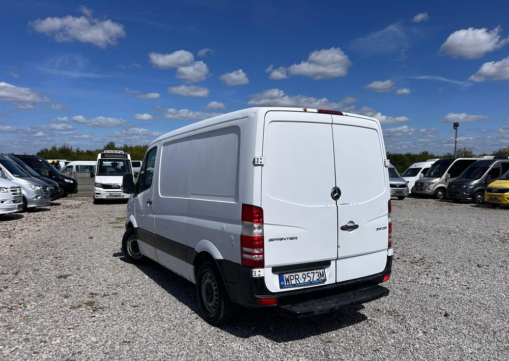 Leasing de  Mercedes-Benz Sprinter 313 Mercedes-Benz Sprinter 313: foto 6