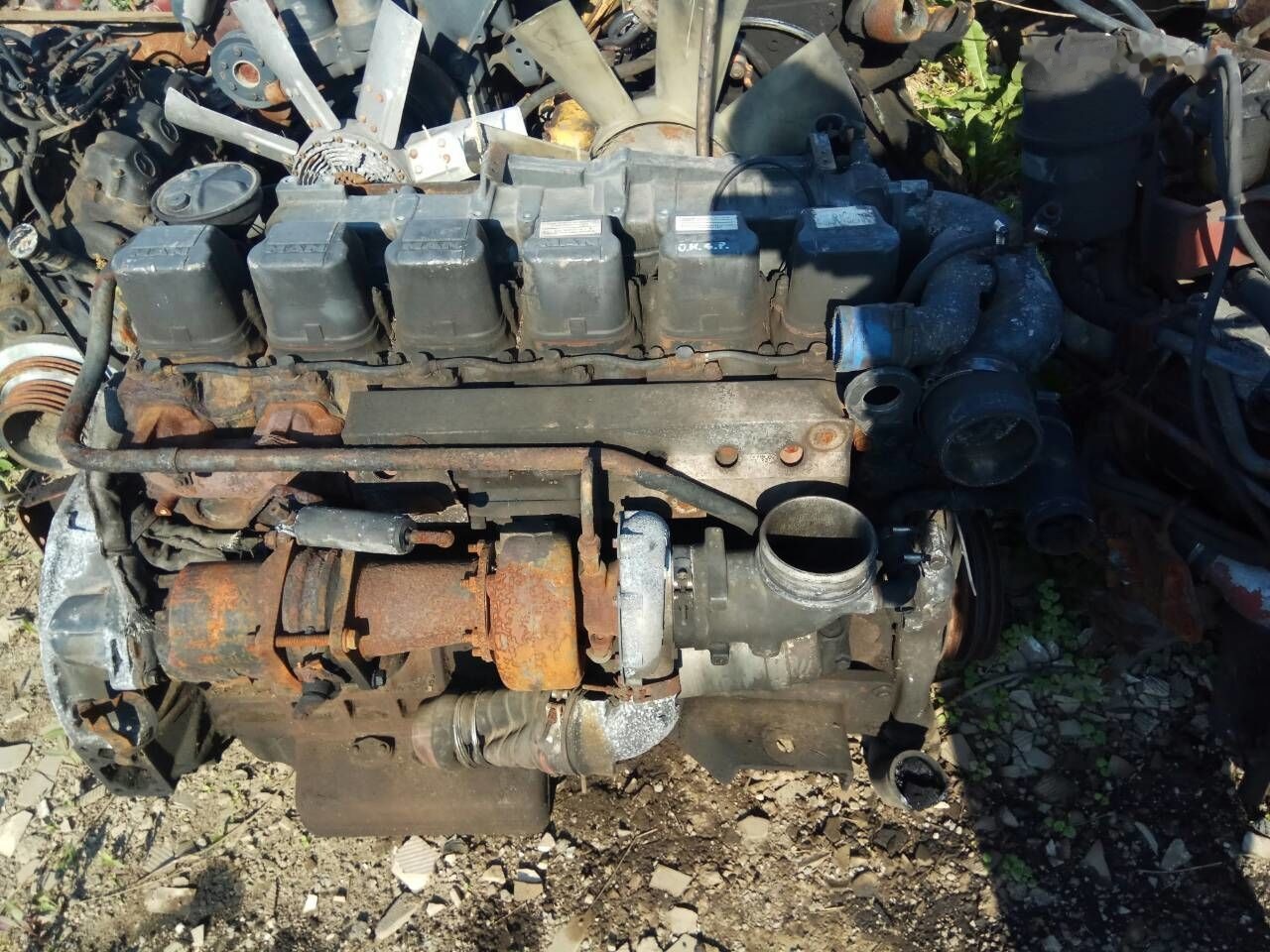 MAN D2876LOH   MAN - Motor para Autobús: foto 1 MAN D2876LOH   MAN - Motor para Autobús: foto 1