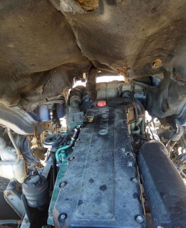 Volvo D12C 460 E3 Volvo FH 12 - Motor para Camión: foto 1 Volvo D12C 460 E3 Volvo FH 12 - Motor para Camión: foto 1