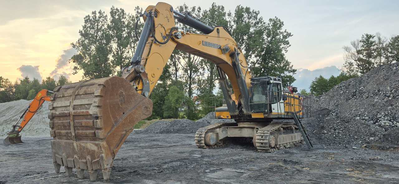 Excavadora de cadenas LIEBHERR R976 HD: foto 10 Excavadora de cadenas LIEBHERR R976 HD: foto 10