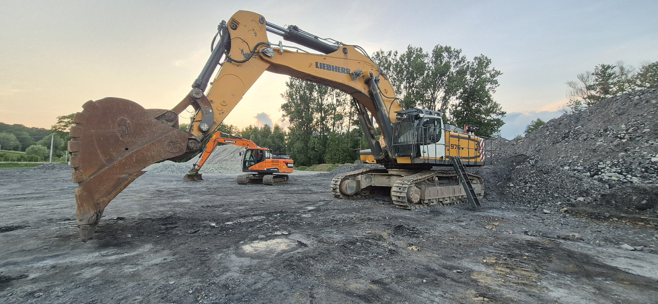 Excavadora de cadenas LIEBHERR R976 HD: foto 11 Excavadora de cadenas LIEBHERR R976 HD: foto 11