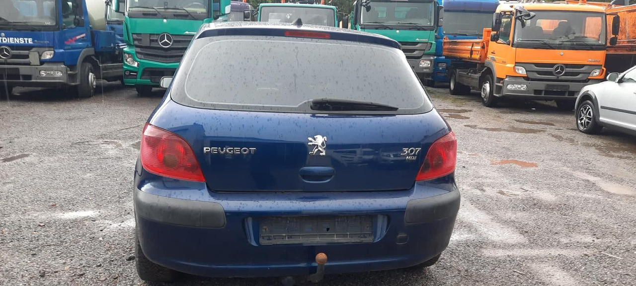 Peugeot 307 Grand Filou - Sedan: foto 4 Peugeot 307 Grand Filou - Sedan: foto 4
