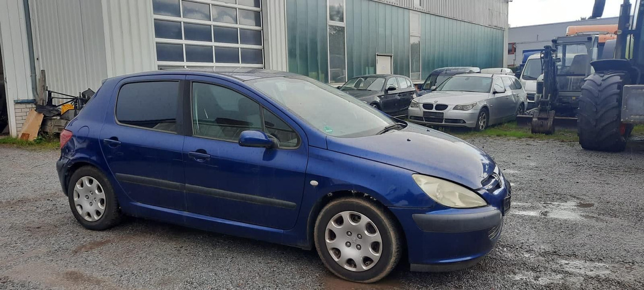Peugeot 307 Grand Filou - Sedan: foto 2 Peugeot 307 Grand Filou - Sedan: foto 2