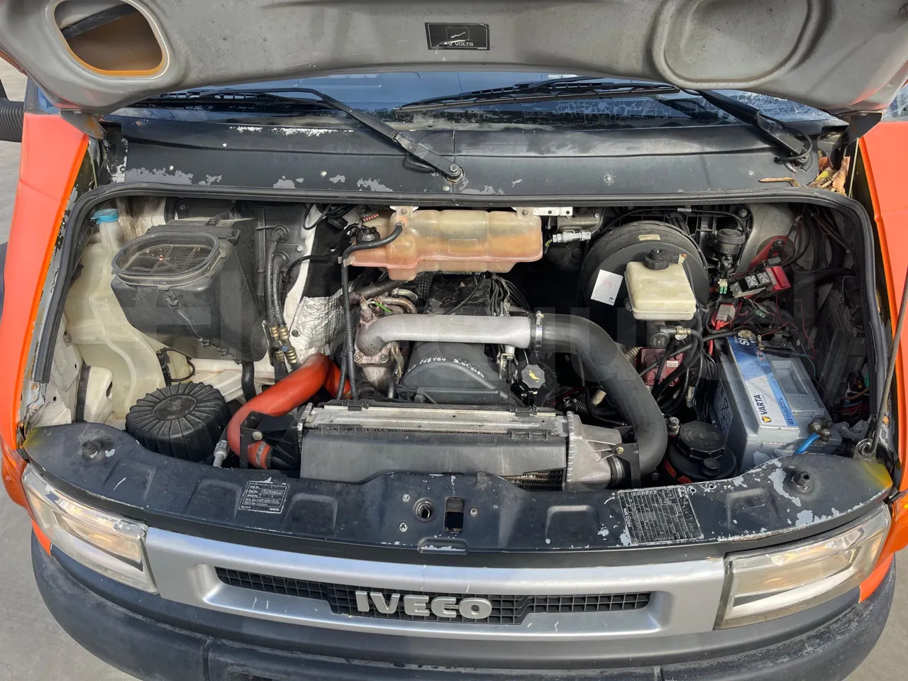 Leasing de Iveco Daily Iveco Daily: foto 17 Leasing de Iveco Daily Iveco Daily: foto 17