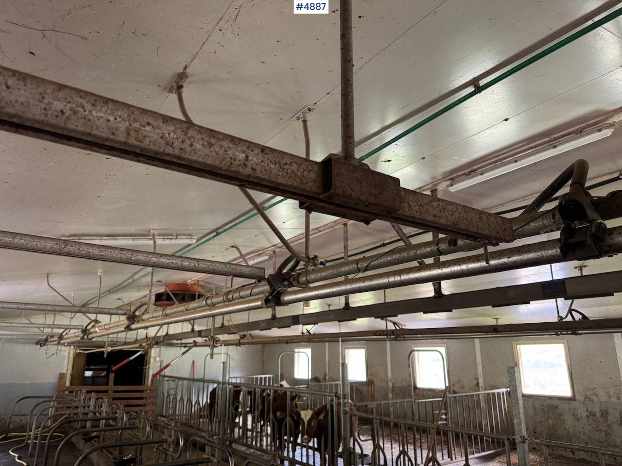 Máquina de ordeño Westfalia Dairy Plant.: foto 10