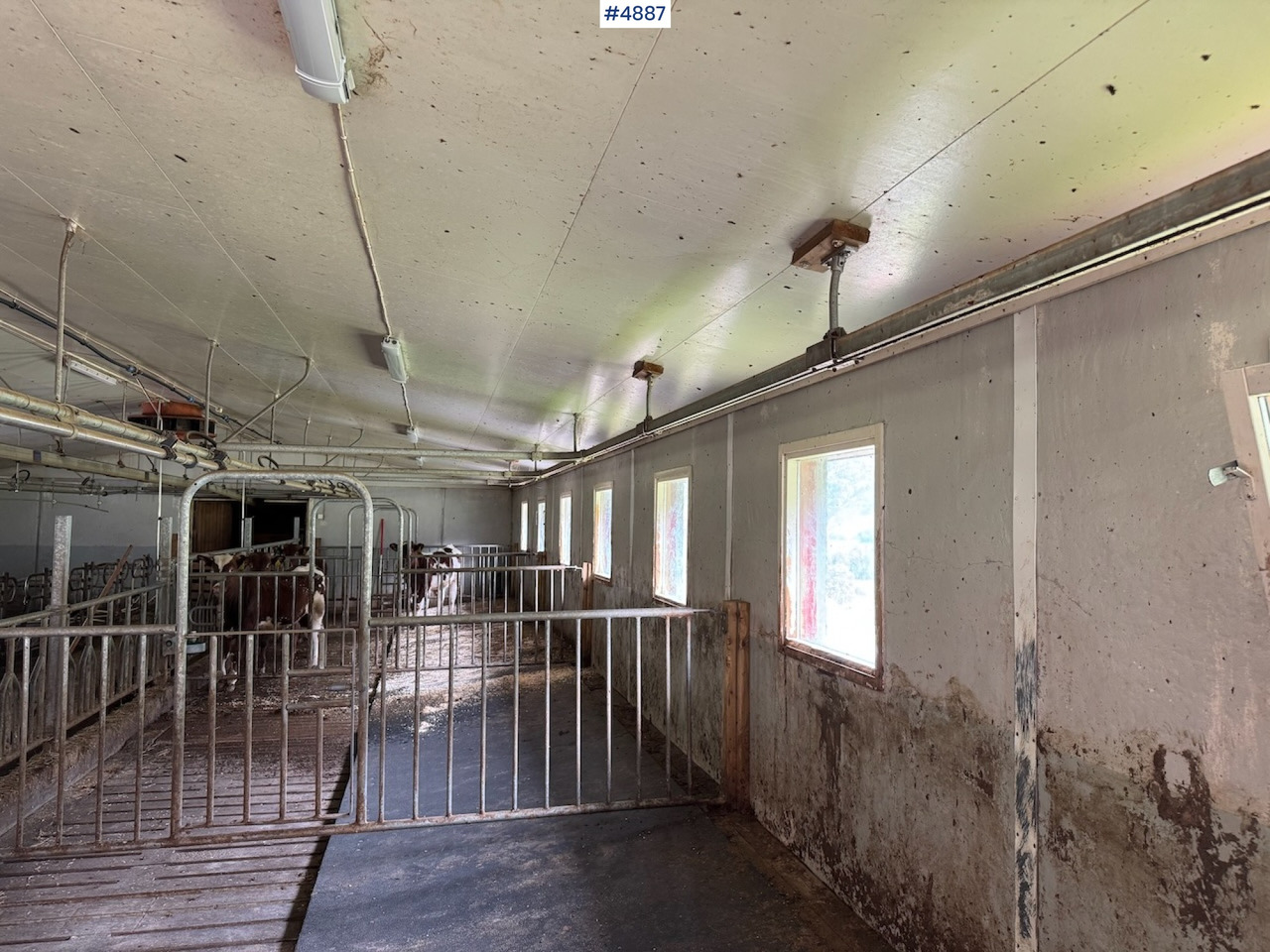 Máquina de ordeño Westfalia Dairy Plant.: foto 9