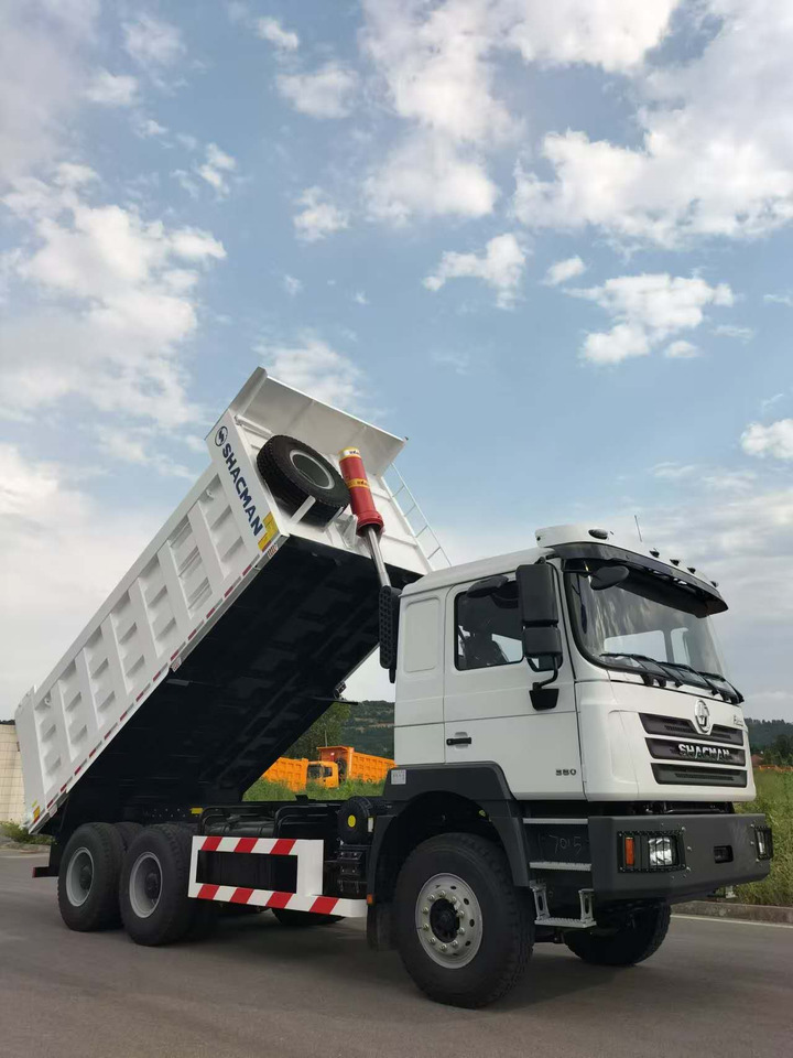 Camión volquete nuevo SHACMAN F3000: foto 7