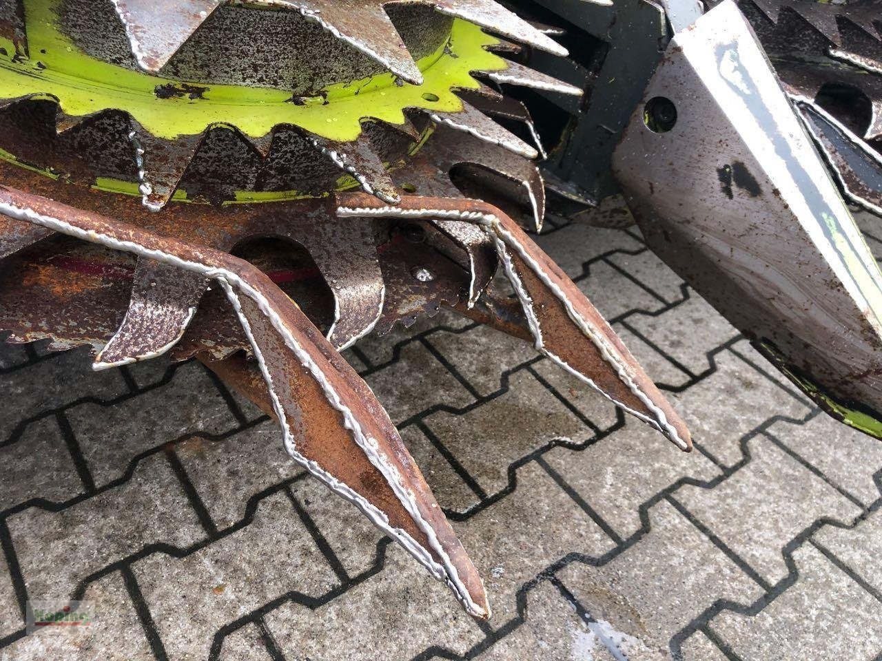 Leasing de CLAAS 950 Jaguar CLAAS 950 Jaguar: foto 17